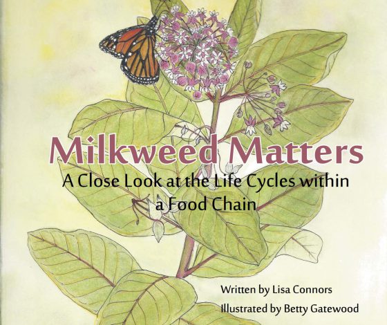 lisa connors milkweed matters