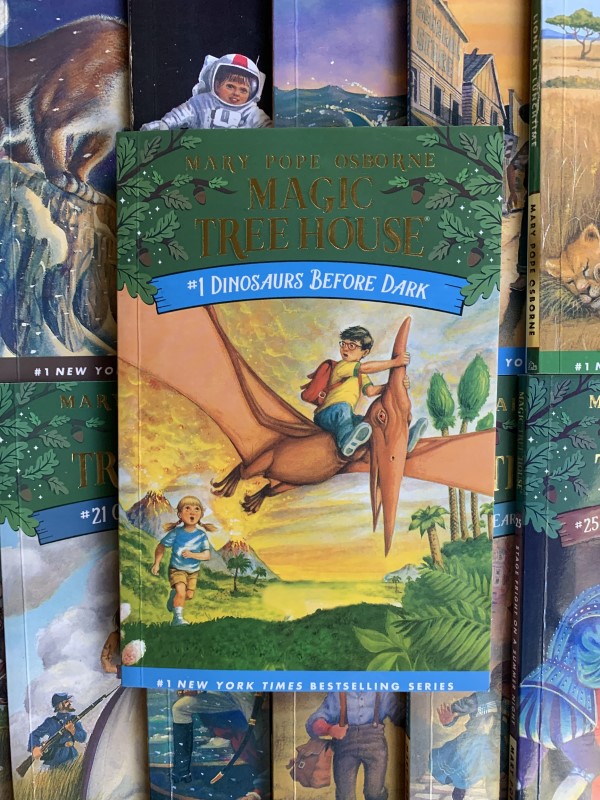 Magic Tree House Book 1 Dinosaurs Before Dark by Mary Pope Osborne