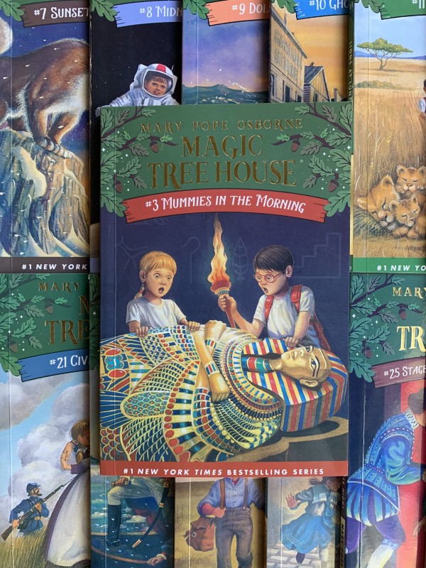 BOX MISSING - Mary Pope Osbornes Magic Tree House Collection 28 Books