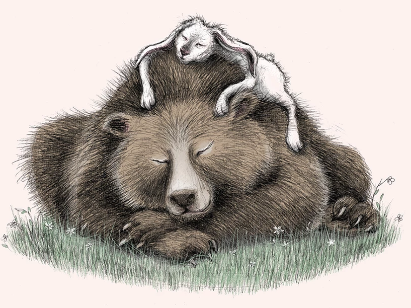 Bear and Hare Take a Nap Illustration by June Steube