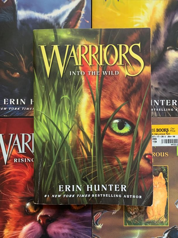 Warriors Into the Wild Book 1 by Erin Hunter
