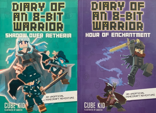 Diary of an 8-Bit Warrior Books 7 and 8 Shadow Over Aetheria and Hour of Enchantment